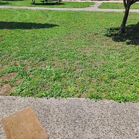 Agreable En Petite Camargue 35 M2 Wifi Apartmán *